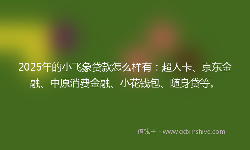 2025年的小飞象贷款怎么样有：超人卡、京东金融、中原消费金融、小花钱包、随身贷等。