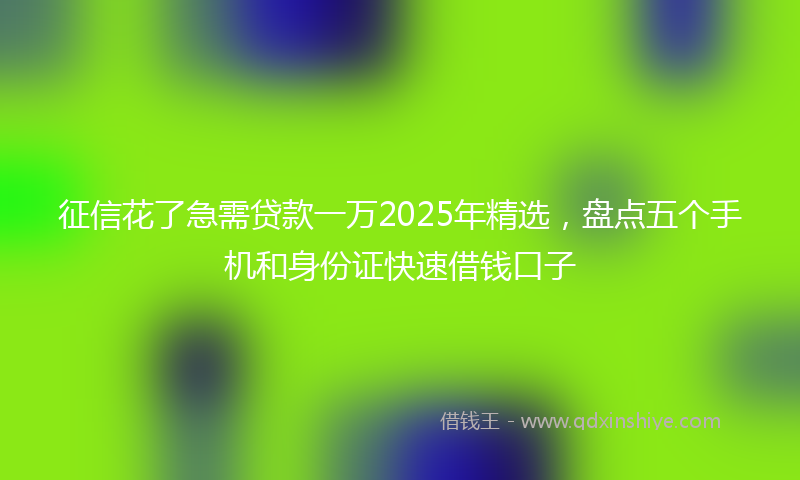 征信花了急需贷款一万2025年精选，盘点五个手机和身份证快速借钱口子