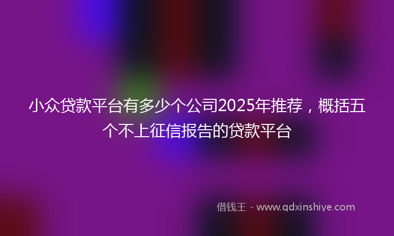 小众贷款平台有多少个公司2025年推荐，概括五个不上征信报告的贷款平台