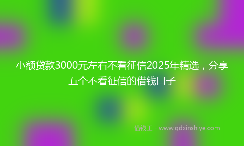 小额贷款3000元左右不看征信2025年精选，分享五个不看征信的借钱口子