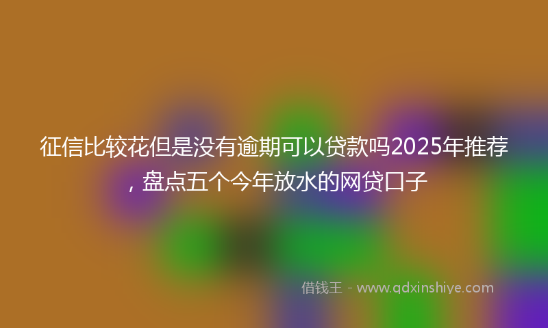 征信比较花但是没有逾期可以贷款吗2025年推荐，盘点五个今年放水的网贷口子