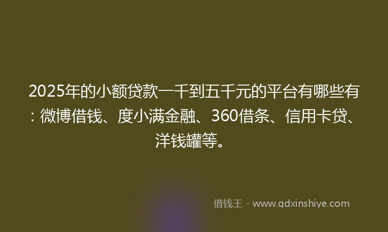 2025年的小额贷款一千到五千元的平台有哪些有：微博借钱、度小满金融、360借条、信用卡贷、洋钱罐等。