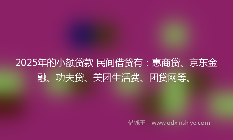 2025年的小额贷款 民间借贷有：惠商贷、京东金融、功夫贷、美团生活费、团贷网等。