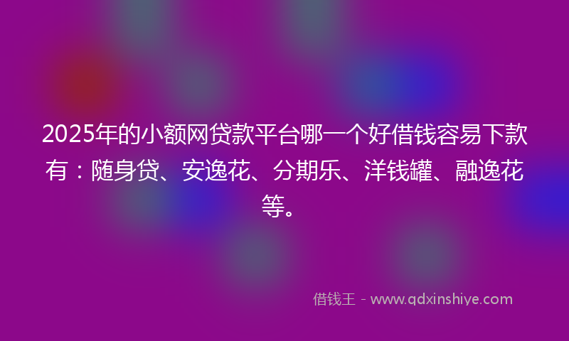 2025年的小额网贷款平台哪一个好借钱容易下款有：随身贷、安逸花、分期乐、洋钱罐、融逸花等。
