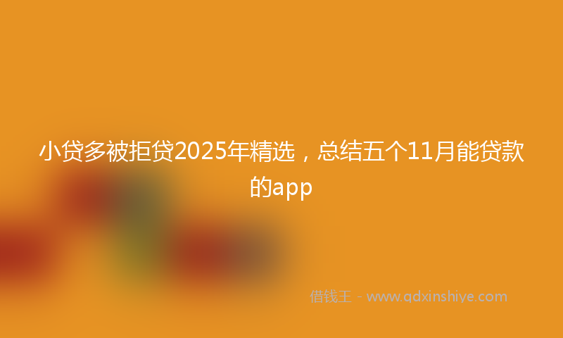 小贷多被拒贷2025年精选，总结五个11月能贷款的app