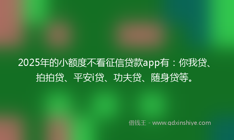 2025年的小额度不看征信贷款app有：你我贷、拍拍贷、平安i贷、功夫贷、随身贷等。