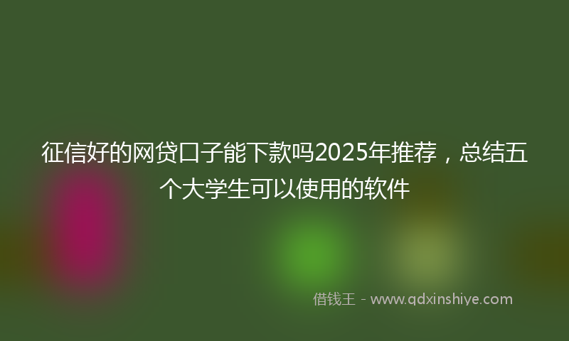征信好的网贷口子能下款吗2025年推荐，总结五个大学生可以使用的软件