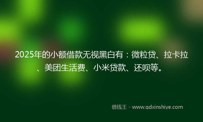2025年的小额借款无视黑白有：微粒贷、拉卡拉、美团生活费、小米贷款、还呗等。