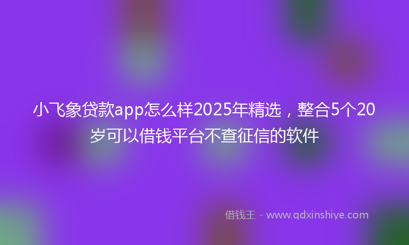 小飞象贷款app怎么样2025年精选，整合5个20岁可以借钱平台不查征信的软件