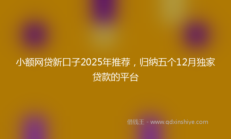 小额网贷新口子2025年推荐，归纳五个12月独家贷款的平台