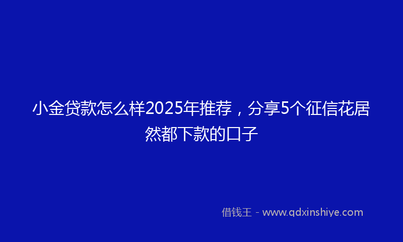 小金贷款怎么样2025年推荐，分享5个征信花居然都下款的口子