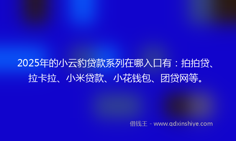 2025年的小云豹贷款系列在哪入口有：拍拍贷、拉卡拉、小米贷款、小花钱包、团贷网等。