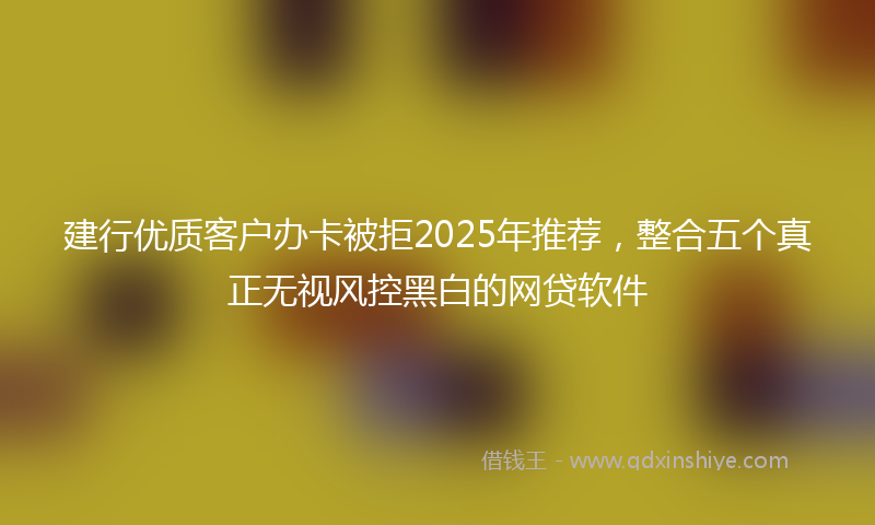 建行优质客户办卡被拒2025年推荐，整合五个真正无视风控黑白的网贷软件