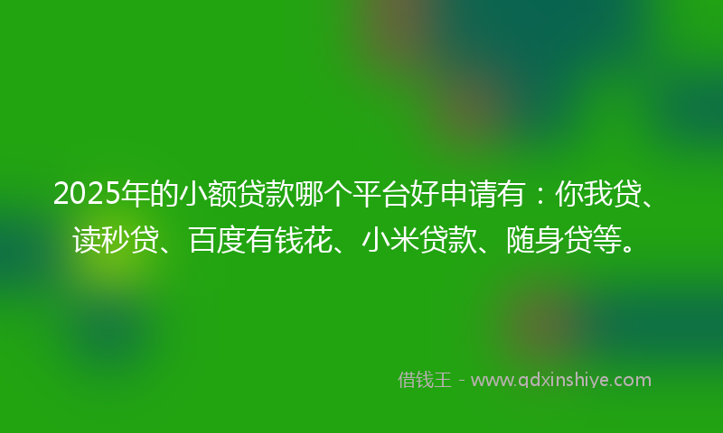 2025年的小额贷款哪个平台好申请有：你我贷、读秒贷、百度有钱花、小米贷款、随身贷等。
