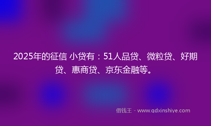2025年的征信 小贷有：51人品贷、微粒贷、好期贷、惠商贷、京东金融等。