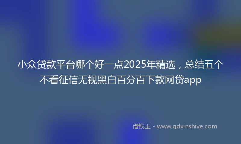 小众贷款平台哪个好一点2025年精选，总结五个不看征信无视黑白百分百下款网贷app