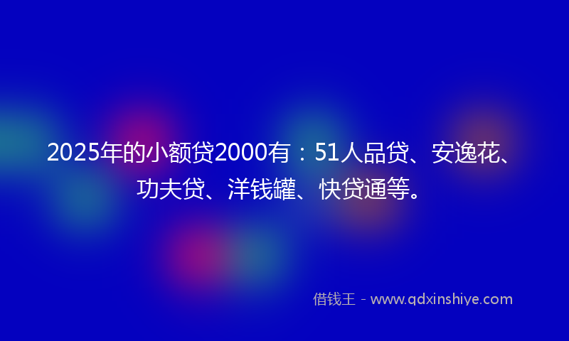 2025年的小额贷2000有：51人品贷、安逸花、功夫贷、洋钱罐、快贷通等。