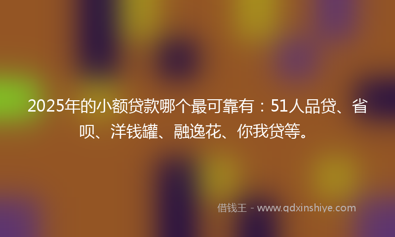 2025年的小额贷款哪个最可靠有：51人品贷、省呗、洋钱罐、融逸花、你我贷等。