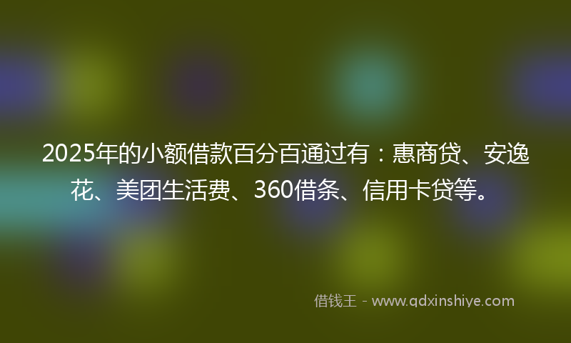2025年的小额借款百分百通过有：惠商贷、安逸花、美团生活费、360借条、信用卡贷等。