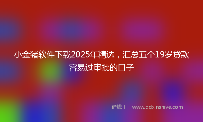 小金猪软件下载2025年精选，汇总五个19岁贷款容易过审批的口子