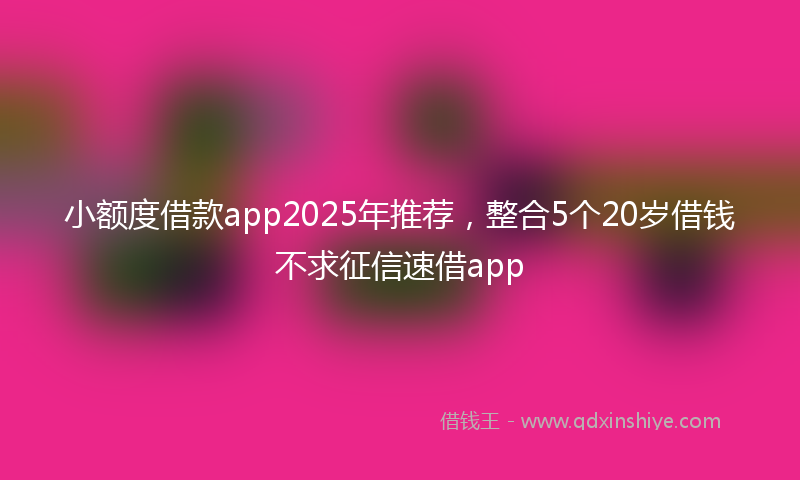 小额度借款app2025年推荐，整合5个20岁借钱不求征信速借app