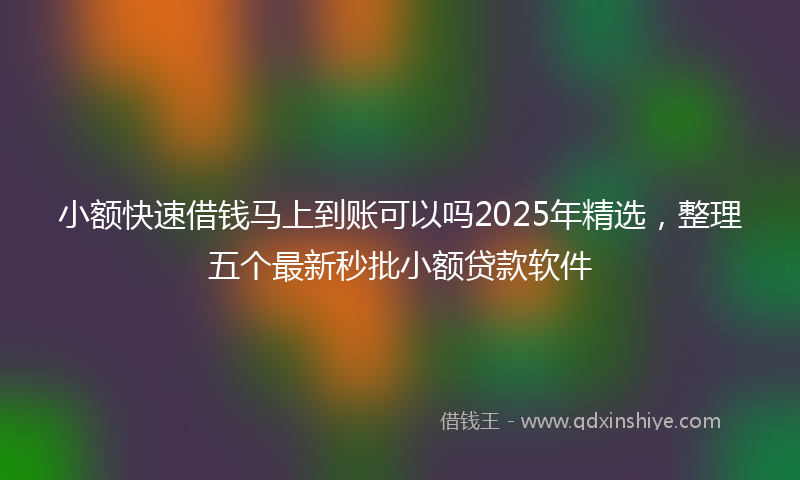 小额快速借钱马上到账可以吗2025年精选，整理五个最新秒批小额贷款软件