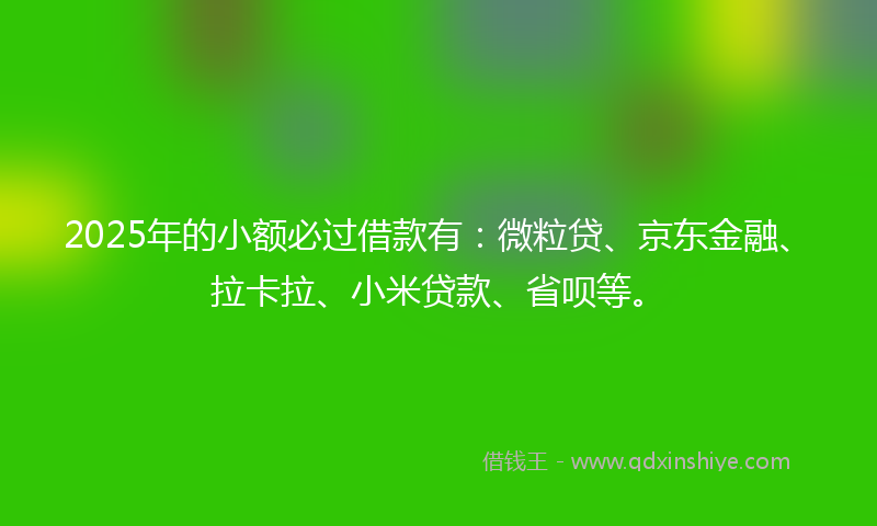 2025年的小额必过借款有：微粒贷、京东金融、拉卡拉、小米贷款、省呗等。