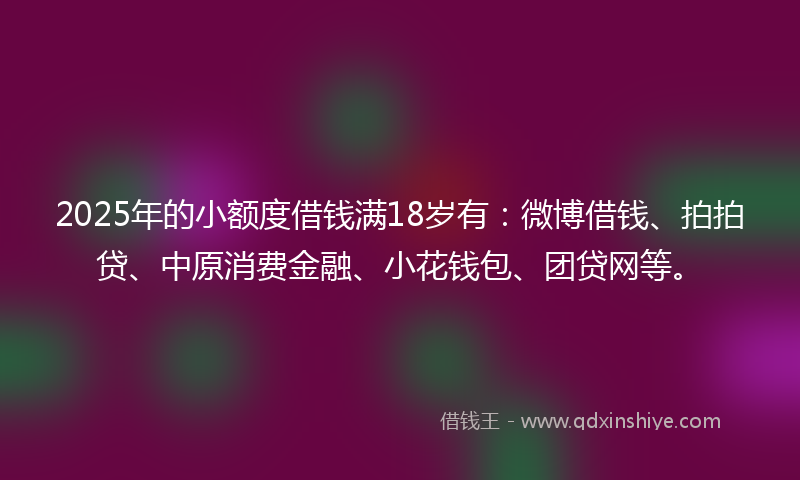 2025年的小额度借钱满18岁有：微博借钱、拍拍贷、中原消费金融、小花钱包、团贷网等。