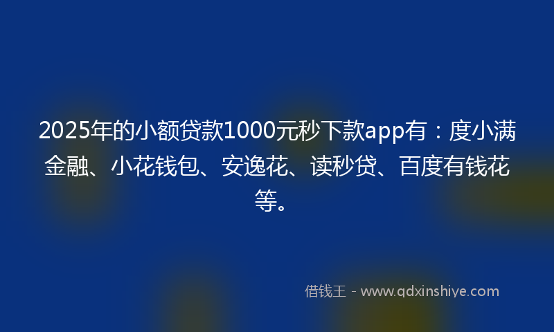 2025年的小额贷款1000元秒下款app有：度小满金融、小花钱包、安逸花、读秒贷、百度有钱花等。