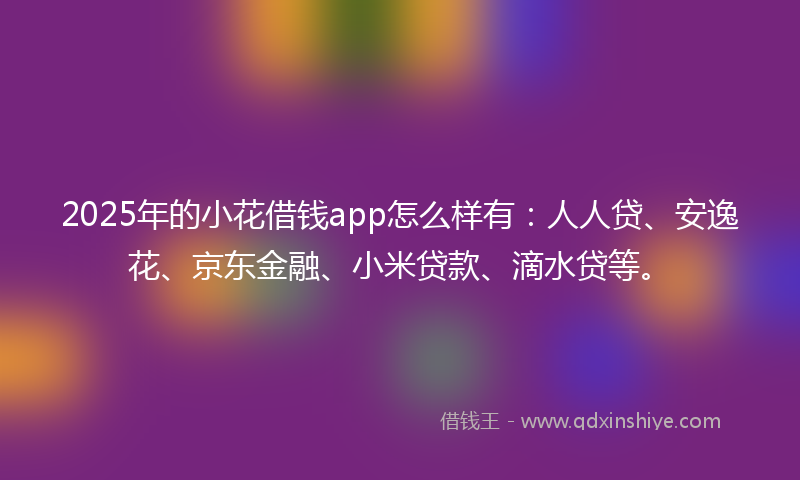 2025年的小花借钱app怎么样有：人人贷、安逸花、京东金融、小米贷款、滴水贷等。