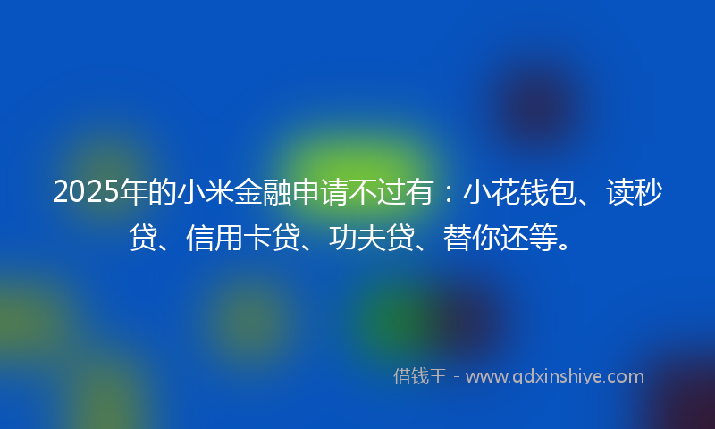 2025年的小米金融申请不过有：小花钱包、读秒贷、信用卡贷、功夫贷、替你还等。