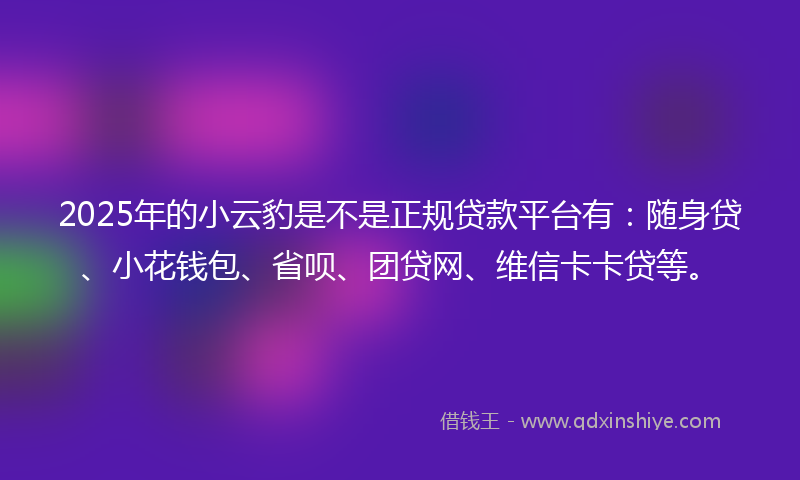 2025年的小云豹是不是正规贷款平台有：随身贷、小花钱包、省呗、团贷网、维信卡卡贷等。