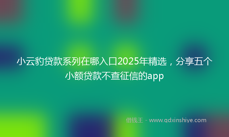 小云豹贷款系列在哪入口2025年精选，分享五个小额贷款不查征信的app