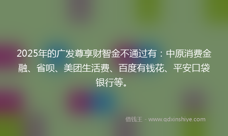 2025年的广发尊享财智金不通过有：中原消费金融、省呗、美团生活费、百度有钱花、平安口袋银行等。