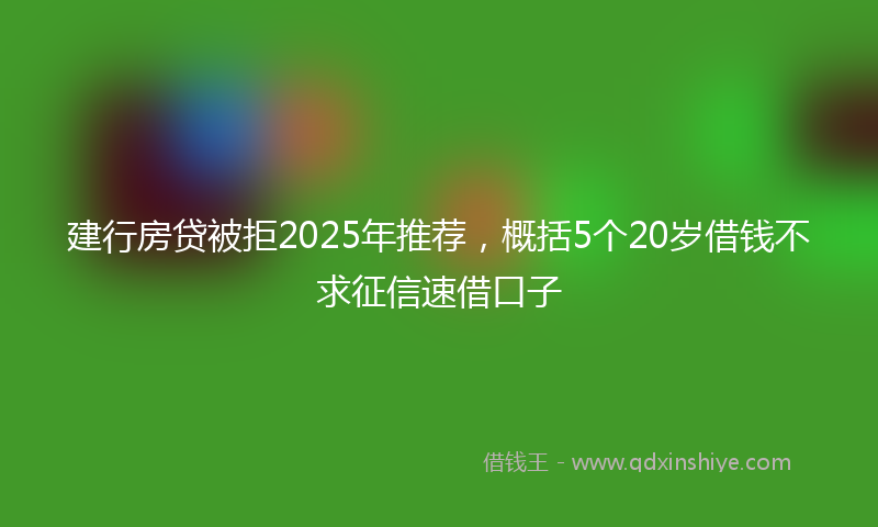 建行房贷被拒2025年推荐，概括5个20岁借钱不求征信速借口子
