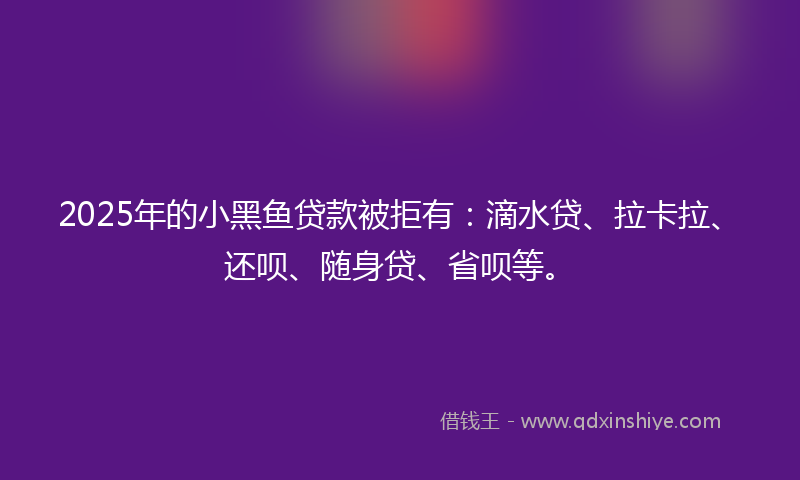 2025年的小黑鱼贷款被拒有：滴水贷、拉卡拉、还呗、随身贷、省呗等。