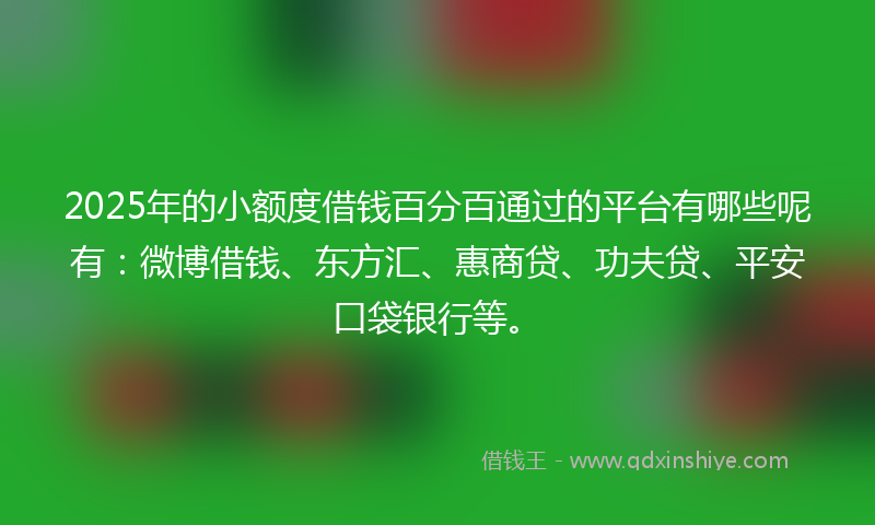 2025年的小额度借钱百分百通过的平台有哪些呢有：微博借钱、东方汇、惠商贷、功夫贷、平安口袋银行等。