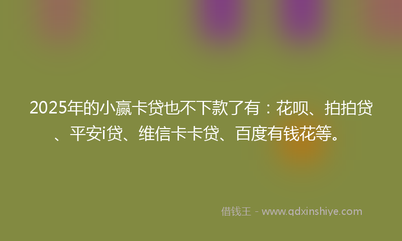 2025年的小赢卡贷也不下款了有：花呗、拍拍贷、平安i贷、维信卡卡贷、百度有钱花等。