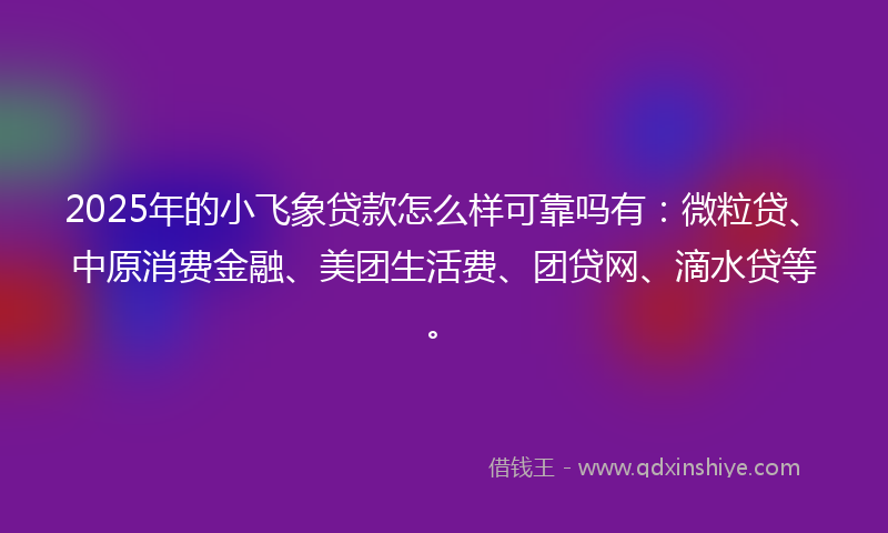 2025年的小飞象贷款怎么样可靠吗有：微粒贷、中原消费金融、美团生活费、团贷网、滴水贷等。