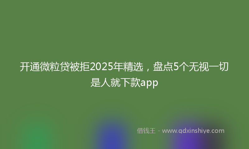 开通微粒贷被拒2025年精选，盘点5个无视一切是人就下款app