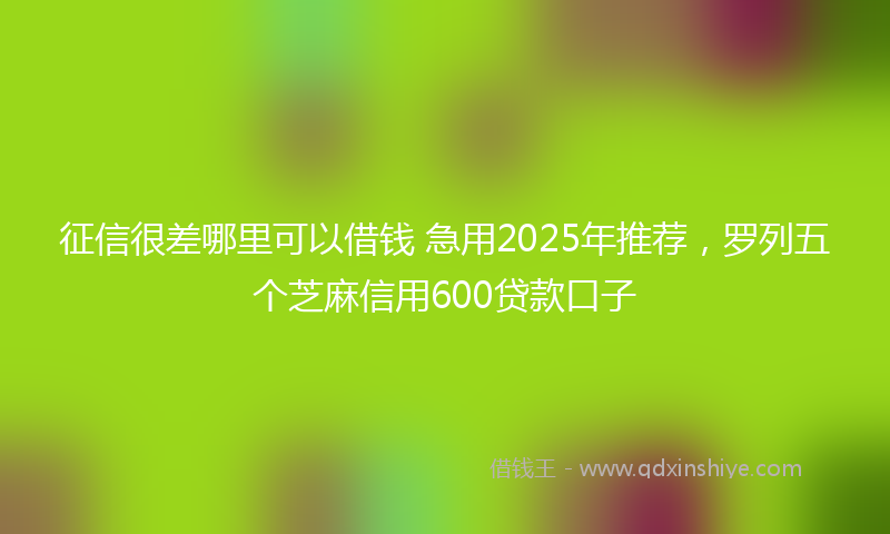 征信很差哪里可以借钱 急用2025年推荐，罗列五个芝麻信用600贷款口子