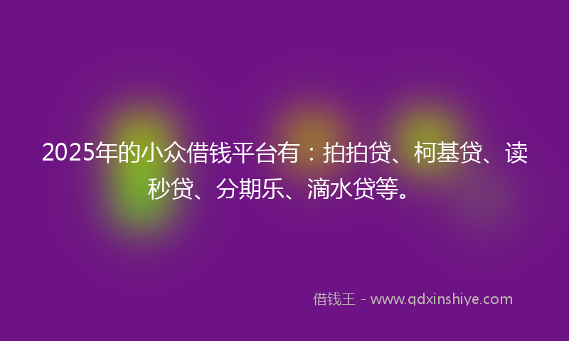 2025年的小众借钱平台有：拍拍贷、柯基贷、读秒贷、分期乐、滴水贷等。