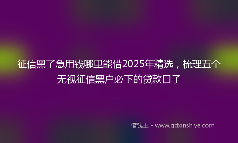 征信黑了急用钱哪里能借2025年精选，梳理五个无视征信黑户必下的贷款口子