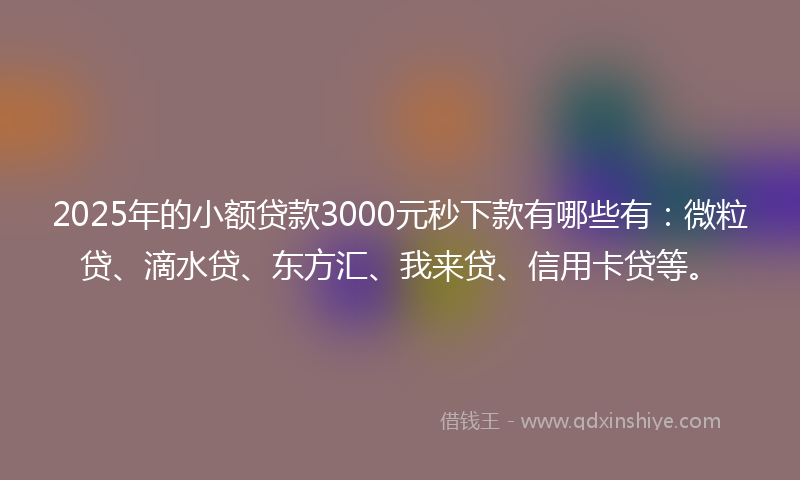 2025年的小额贷款3000元秒下款有哪些有：微粒贷、滴水贷、东方汇、我来贷、信用卡贷等。