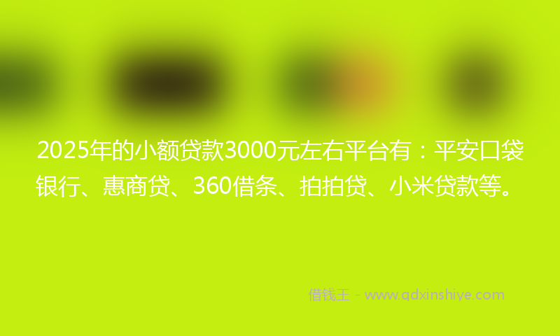2025年的小额贷款3000元左右平台有：平安口袋银行、惠商贷、360借条、拍拍贷、小米贷款等。