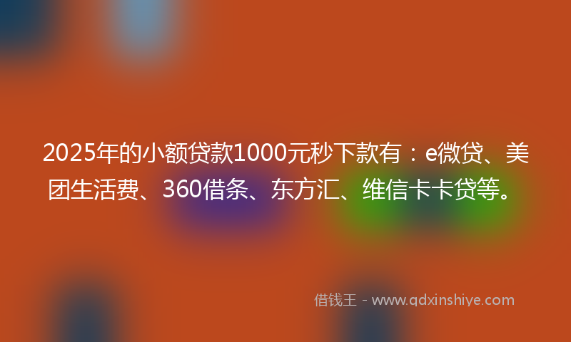 2025年的小额贷款1000元秒下款有：e微贷、美团生活费、360借条、东方汇、维信卡卡贷等。