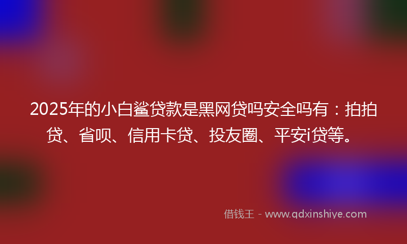 2025年的小白鲨贷款是黑网贷吗安全吗有：拍拍贷、省呗、信用卡贷、投友圈、平安i贷等。