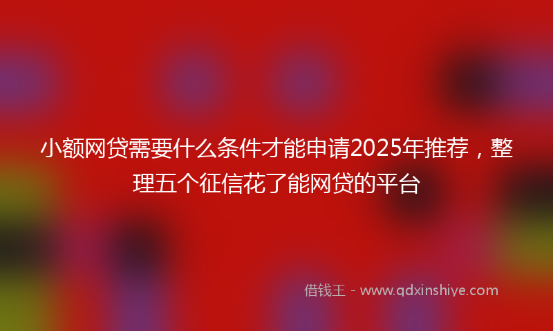 小额网贷需要什么条件才能申请2025年推荐，整理五个征信花了能网贷的平台