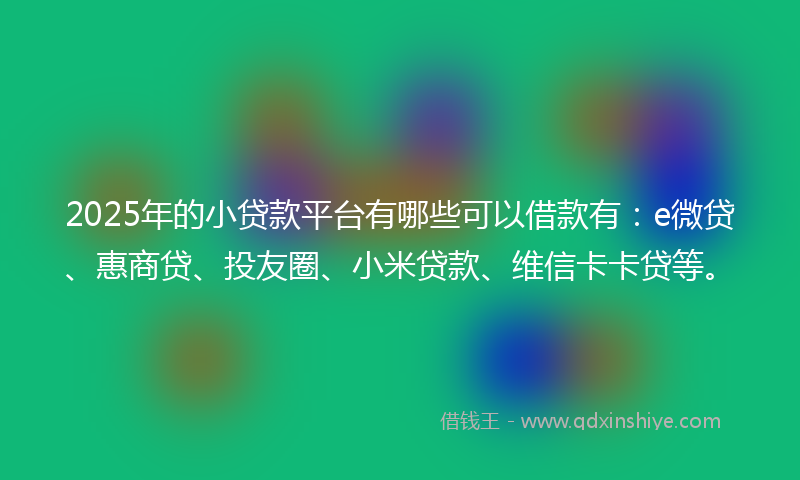 2025年的小贷款平台有哪些可以借款有：e微贷、惠商贷、投友圈、小米贷款、维信卡卡贷等。