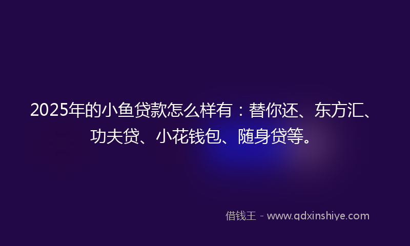2025年的小鱼贷款怎么样有：替你还、东方汇、功夫贷、小花钱包、随身贷等。